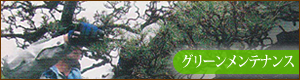 グリーンメンテナンスの実績はコチラ