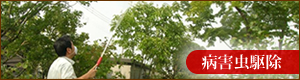 病害虫駆除の実績はコチラ